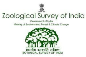Zoological Survey of India