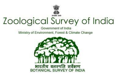 Zoological Survey Of India