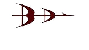 BDL Recruitment